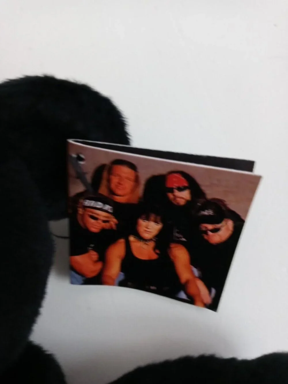 New 1999 WWF WWE Attitude Bear D-Generation X 10